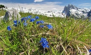 VALZURIO - TIMOGNO -  FOTOGALLERY